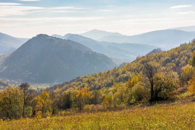 Sonbaharda ormanlı dağlık kırsal alan. Tepedeki ağaçlar renkli yapraklarla süslenmiştir. Güneşli bir gün. Vadideki köy
