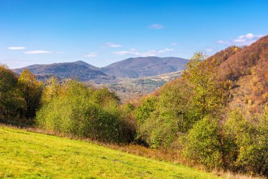 Sonbaharda tepede bir orman. Sonbahar mevsiminde Karpat Dağları. Güneşli bir günde güzel bir Ukrayna manzarası. Renkli yapraklı ağaçların manzarası. parlak mavi gökyüzü