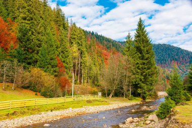 Sonbaharda nehir manzarası. Ukrayna 'nın Karpatlar Dağı' ndaki Synevyr Ulusal Parkı manzarası. Rengarenk ağaçlar, güneşli hava