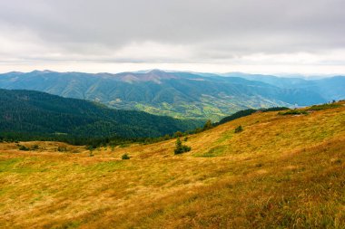 Sonbaharda Karpatlar 'ın dağ manzarası. Hava bulutlu. Strymba dağının yamaçlarındaki çimenli çayır. Vadideki köy