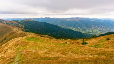 Sonbaharda Karpatlar 'ın dağ manzarası. Hava bulutlu. Strymba dağının yamaçlarındaki çimenli çayır