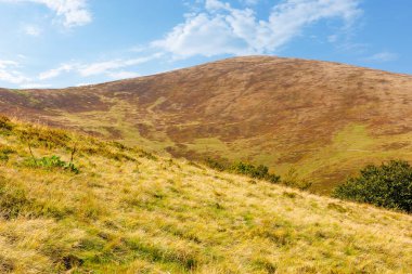 Sonbaharda dağlık tepeler ve çayırlar. Güneşli bir hava. Renkli Karpatya dağ manzarası. Sonbahar mevsiminde Ukrayna 'da krasna sırtı. Harika bir öğleden sonra tatili