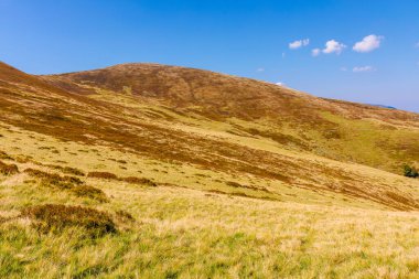 Sonbaharda dağlık tepeler ve çayırlar. Güneşli bir hava. Renkli Karpatya dağ manzarası. Sonbahar mevsiminde Ukrayna 'da krasna sırtı