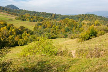 Sonbaharda Ukrayna 'nın dağlık kırsal manzarası. Bereketli orman güneşli bir gün. Ormanlık tepelerdeki kırsal alanlar. Sonbahar mevsiminde Karpatlar 'ın güzel manzarası