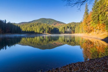 Sabah ışığında gölü olan sonbahar manzarası. Güneşli bir hava. Avrupa 'nın Ukrayna' nın Karpat Dağları 'ndaki güzel tatil beldesi