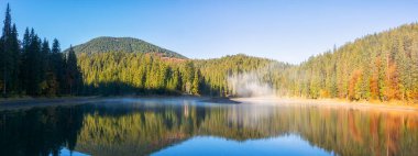 Sabah ışığında gölü olan sonbahar manzarası. Su yüzeyinde sis var. Ukrayna 'nın Karpatya dağlarındaki kozalaklı ormanların arasında güzel bir manzara.