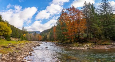 Dağlardaki nehir. Karpatya kırsalının harika sonbahar manzarası. Orman ve çimenli sahil arasındaki su akıntısı. Nehir kıyısında çit var. bulutlu hava