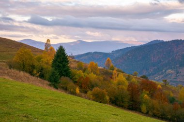 Sonbaharda Karpat dağlarının kırsal kesiminde. Hava bulutlu. Rengarenk ağaçlar, Tepeleri olan manzara uzaklarda yuvarlanıyor.