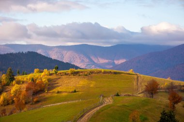 Sonbaharda dağlık kırsal alan. Güzel manzara. Güneşli bir hava. Rengarenk ağaçlar, Çimenli tarlalar ve yuvarlanan tepelerin arasından geçen bir manzara. harika bir kırsal.
