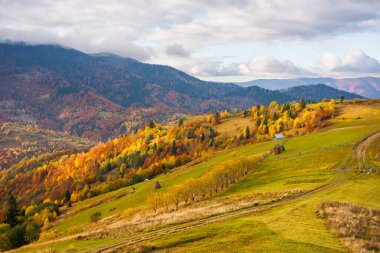 Sonbaharda dağlık kırsal alan. Sonbahar mevsimi değişimi. Güneşli bir hava. Rengarenk ağaçlar, Çimenli tarlalar ve yuvarlanan tepelerin arasından geçen bir manzara. Muhteşem bir seyahat yeri.