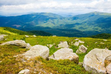 Çimenli yamaçta taşlı manzara. Manzaralı. Karpat Dağları 'nın yaz aylarında pürüzsüz alp manzarası. Güneşli bir gün. Vadinin güzel manzarası. Açık hava macerası