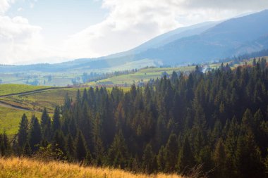 Sonbaharda Ukrayna 'nın dağlık kırsalında. Güneşli bir sabahta açık hava macerası. Tepedeki çimenli çayır. Kırsal vadi ve Karpatya Borzhava sırtı. Sonbahar mevsiminde çam ağaçları