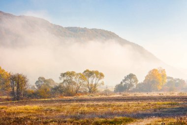 Sonbahar sisinde kırsal alan. Güneşli bir sabah. Karpatya Vadisi 'nin güzel manzarası. Sisin içindeki renkli ağaçlar. Sonbahar mevsiminde çimen tarlaları