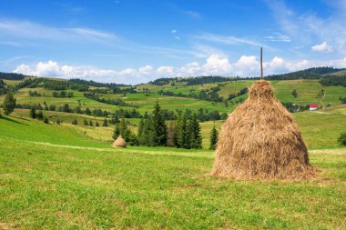 Yazın saman yığınları olan dağlık bir kırsal alan. Güneşli bir gün. Ukrayna 'nın Karpatya kırsalında yeşil alan
