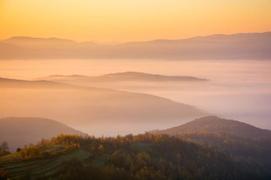 Vadide sisli dağlık bir arazi. Güneşli bir sabah. Sonbahar mevsiminde kırsal alan. Yuvarlanan tepeler arasında parlayan sis