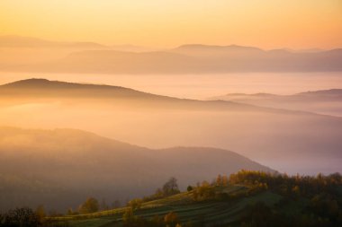 Vadide sisli dağlık bir arazi. Sonbahar ortamı. Güneşli bir sabah. Sonbahar mevsiminde kırsal alan. Yuvarlanan tepelerin arasında parlayan sis. açık doğa arka planı