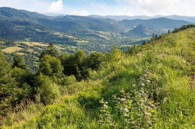 Yazın Karpatlar 'ın dağ manzarası. Öğleden sonra ışığında kırsal bir manzara. Ormanlı yamaçlar. Uzak vadideki köy