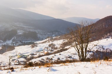 Kışın dağlık kırsal alan. Kırsal alan. Gökyüzünde bulutlar olan sisli bir hava. Karla kaplı yamaçlarda yapraksız ağaçlar. Kış mevsiminde Karpatlar