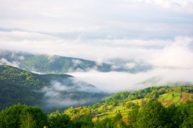 Dağlık kırsal alan, sisli bir sabahta. Bahar mevsiminde Karpat Dağları. Güneşli bir hava. Ormandaki tepenin kırsal alanları. Yukarıdan görünüm