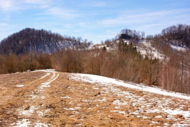 Karpat dağlarında mevsim değişimi. Soğuk çevre konsepti. Baharda güneşli bir gün. Yapraksız orman ve tepede kar. Güzel manzara.
