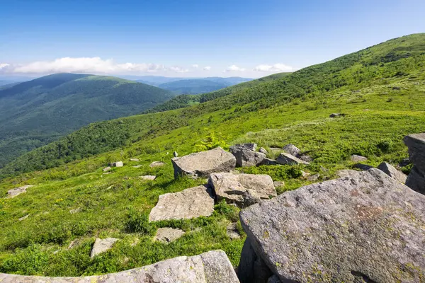 Dağlarda yaz manzarası. Manzarası çok güzel. Güneşli bir sabah. Ukrayna 'nın düz dağlık arazileri. Taşlı çimenli yamaçlar. Uzaktaki güzel manzara. yeşil ortam