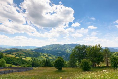 Yazın dağlık kırsal alan. Taşra dağları. Tepedeki ağaçlar ve çayırlar. Gökyüzünde bulutlarla güneşli bir gün. Görkemli uzak sırt benekli ışıkta