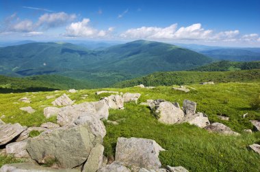 Yazın Karpatlar 'ın dağ manzarası. Çimenli tepeleri olan alp manzarası. yeşil doğa arkaplanı