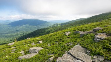 Yazın Karpatlar 'ın dağ manzarası. Muhteşem bir dağlık arazi. Çimenli tepeleri olan alp manzarası. Yeşil doğa geçmişi. Açık hava macerası