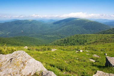 Yazın Karpatlar 'ın dağ manzarası. Ukrayna 'ya git. Çimenli tepeleri olan alp manzarası. Yeşil doğa geçmişi. Çarpıcı yerleri keşfet