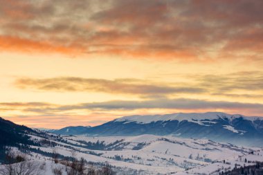 Şafak vakti dağlık kırsal alan. Güzel gökyüzü. Kar yamaçları ve Transcarpathia 'nın ormanlı yamaçları, Ukrayna. Alp dağları