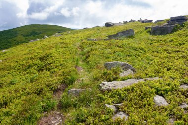 Yol yokuş yukarı. Manzaralı bir manzara. Alp manzaralı çimenli çayır ve yaz aylarında kayalar. Güneşli bir hava. Dağlık arazi macerası