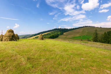 Yazın Transcarpathia kırsal manzarası. Otlak arazide saman yığını. Güneşli bir öğleden sonra Ukrayna 'nın dağlık kırsal manzarası