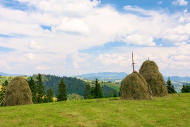 Yazın Transcarpathia kırsal manzarası. Tepenin arkasındaki manzaralı vadi. Otlak arazide saman yığını. Güneşli bir öğleden sonra Ukrayna 'nın dağlık kırsal manzarası. Köy tatili