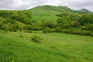 İlkbaharda dağlık kırlarda. Manzaralı tarım arazisi. Hava bulutlu. Tepelerdeki ıslak çimenler. Yeşillik ağaçlar. Kırsal manzara Sabah tazeliği