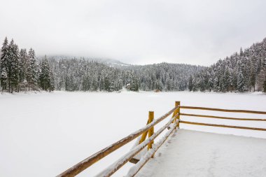 Karpat Dağları kış manzarası. Dondurucu soğuk. Karla kaplı donmuş göl. Synevyr Ulusal Parkı, Ukrayna 'daki manzara. Hava bulutlu. Seyahat yeri geçmişi. resim gibi harikalar diyarı