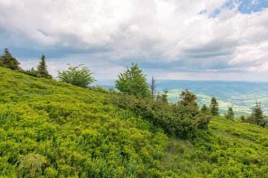 carpathian mountain landscape in summer. picturesque highland of ukraine. view in to the distant valley. cloudy sky above horizon. alpine meadow on the hill. wide slope of pikui clipart