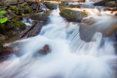 Shypit deresinin su akışı. Zen ekosistemi. Noktalı ışıkta yaz manzarası. Açık hava arkaplanının yakın görüntüsü. Karpatya enerjisi