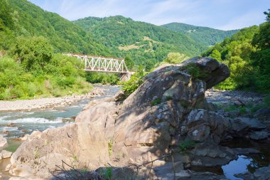 Tisza nehri rakhiv kasabası yakınlarında. Tepedeki orman. Yazın Karpatlar 'ın dağ manzarası. siyah akarsu kolu. Ukrayna 'nın resimli dağlık arazisi