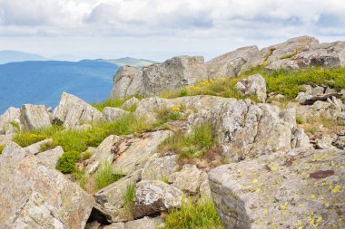 Yeşil Alp Tepesi ve Karpatlar Çayırı. Büyük kaya. Çimlerin arasındaki taşlı manzara bulutlu bir gökyüzünün altında. Ukrayna dağlarında yaz tatili. Açık hava macerası