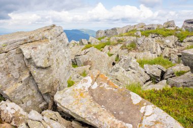 Yeşil Alp Tepesi ve Karpatlar Çayırı. Harika dağlık arazi. Çimlerin arasındaki taşlı manzara bulutlu bir gökyüzünün altında. Ukrayna dağlarında yaz tatili. Ekstrem araziyi keşfet