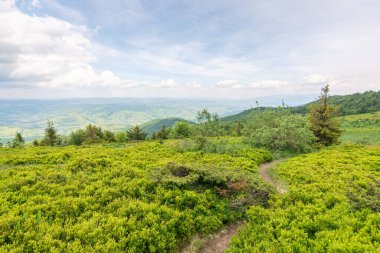 Yazın Karpatlar 'ın dağ manzarası. Ukrayna Alpleri 'nin güzel doğa manzarası. Uzaktaki vadiye bak. Ufukta bulutlu bir gökyüzü var. Tepedeki alp çayırı.