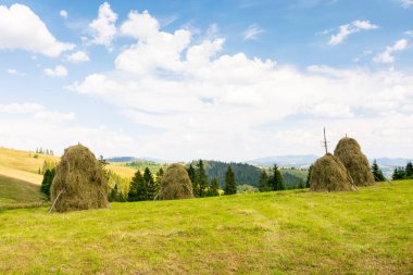 Yazın Transcarpathia kırsal manzarası. Güzel manzara. Otlak arazide saman yığını. Güneşli bir öğleden sonra Ukrayna 'nın dağlık kırsal manzarası. yeşil ortam