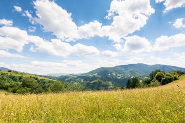 Tepede yeşil alan olan doğa arka planı. Ukrayna 'nın dağlık dağları. Kabarık bulutlu mavi gökyüzü. Yazın Karpatlar 'ın dağ manzarası. Açık hava macerası