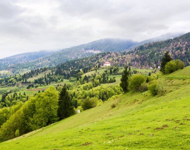 Baharda kırsal dağ manzarası. Mayıs ayında bulutlu hava tahmini. Tepedeki tarla ve orman. Transcarpathia kırsalının hareketli manzarası