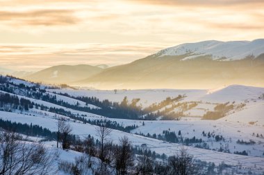 Şafak vakti dağlık kırsal alan. Uzaktan dinlenme arka planı. Kar yamaçları ve Transcarpathia 'nın ormanlı yamaçları, Ukrayna. Karpat Dağlarının çarpıcı manzarası