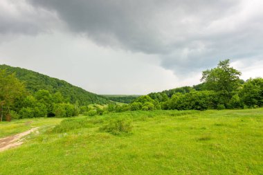 Dağlardaki kırsal alan. Doğal ortam. Hava bulutlu. Yazın tepedeki çimenli çayır ve orman. açık hava macera arka planı