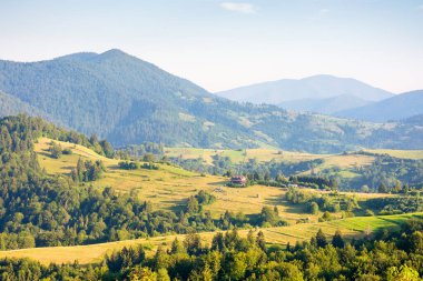 Yazın Transcarpathia kırsalında. Doğal yeşil çevre. Sabah ışığında tepelerin yuvarlandığı kırsal bir manzara. Güneşli bir günde Ukrayna 'nın Karpat Dağları manzarası. Yamaçtaki tarla