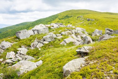 Yamaçtaki çimlerin arasında kayaların olduğu bir manzara. Pürüzsüz dağın manzarası. Güneşli bir gün. Yazın Karpat Dağları manzarası. Keskin kumtaşlı bir arazi. Yürüyüş için harika bir yükseklik.