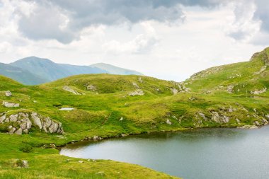 Yazın Alp Gölü kaprası. Tatil sezonu. Hava bulutlu. İbne tepesi manzarası. Carpathian sıradağları. Romanya manzarası. resimsel yüksek irtifa yabanı 