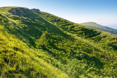 Yazın Ukrayna 'nın kayan dağlık dağlık arazisi olan doğa manzarası. seyahat geçmişi. Çimenli yamaçta devasa kayalar olan Karpatya dağ manzarası. yeşil ortam